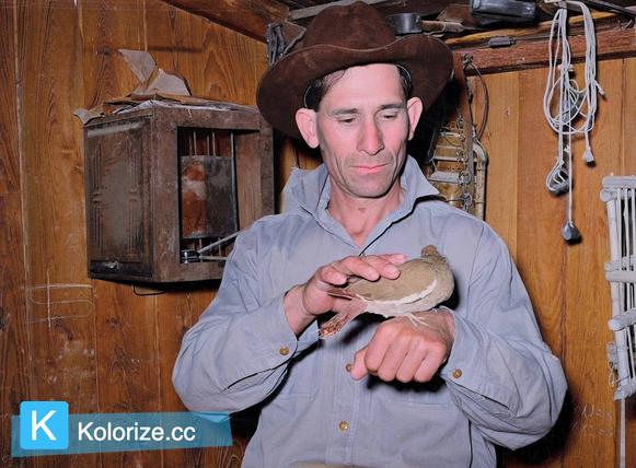 [colorized] A man and his white-winged dove in Crystal City, 1939.
Spectacular image from Russell Lee.