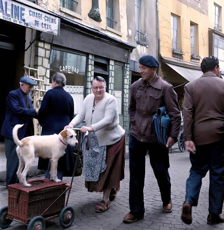 [colorized] Robert Doisneau. 
Rue Mouffetard 
1951. Paris