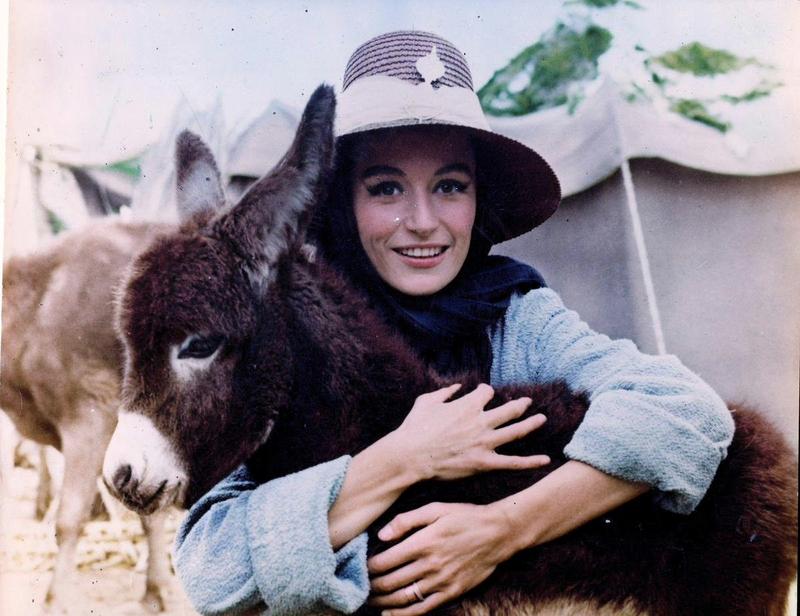 [colorized] Anouk Aimée, French Actress